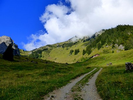 ���ڵ���ѧϰ